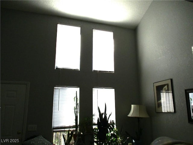 interior space featuring lofted ceiling