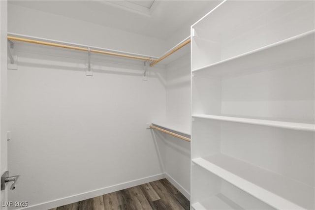 walk in closet featuring dark wood-type flooring