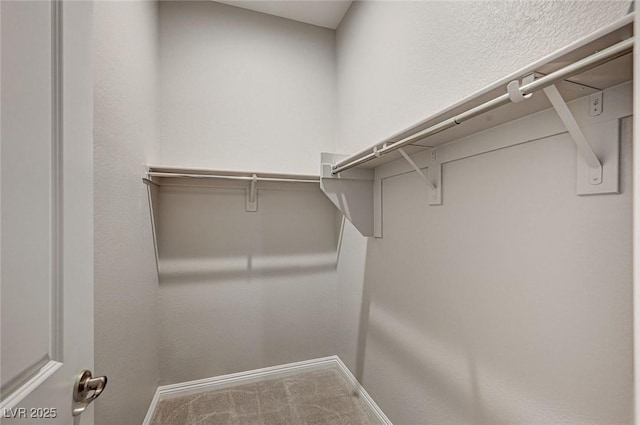 spacious closet featuring carpet floors