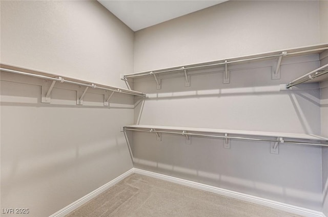 spacious closet featuring light carpet