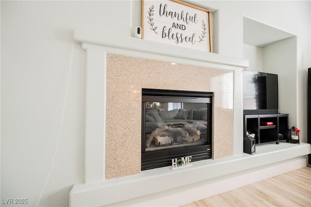 room details featuring wood finished floors and a premium fireplace