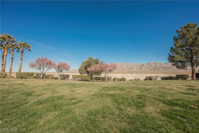 view of yard featuring a mountain view and a rural view