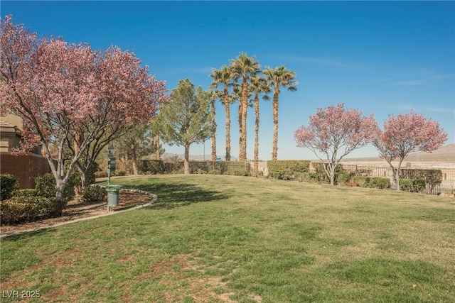 view of yard with fence