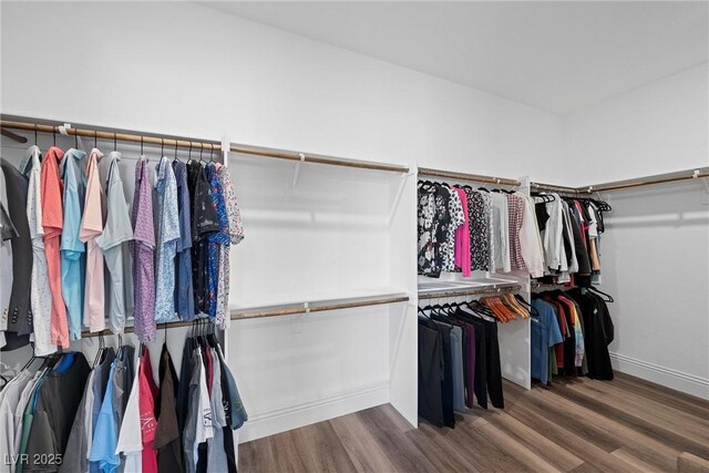 walk in closet with wood finished floors