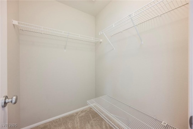 3158 Teaderman Walk, Henderson, NV 89044 - spacious closet with carpet