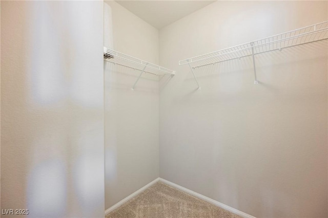 3158 Teaderman Walk, Henderson, NV 89044 - spacious closet with light colored carpet