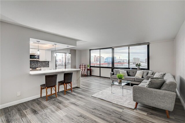 205 E Harmon Ave Unit 1010, Las Vegas, NV 89169 - living area featuring light wood-style flooring, a view of city, and baseboards