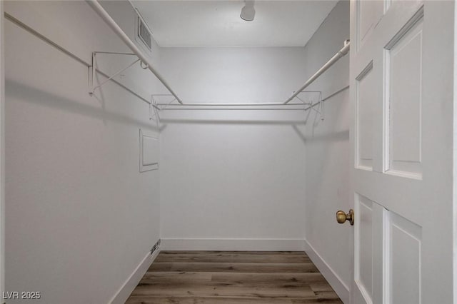 walk in closet featuring wood finished floors