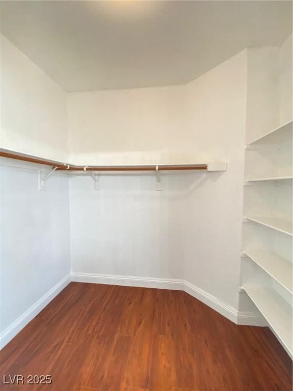 walk in closet featuring wood finished floors