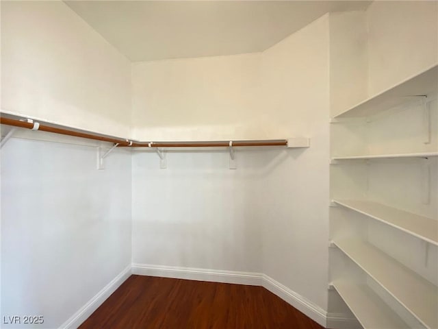 walk in closet with dark wood-style floors