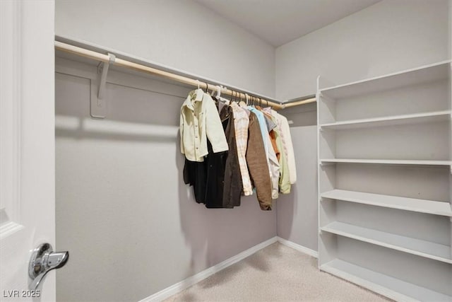 walk in closet with carpet flooring