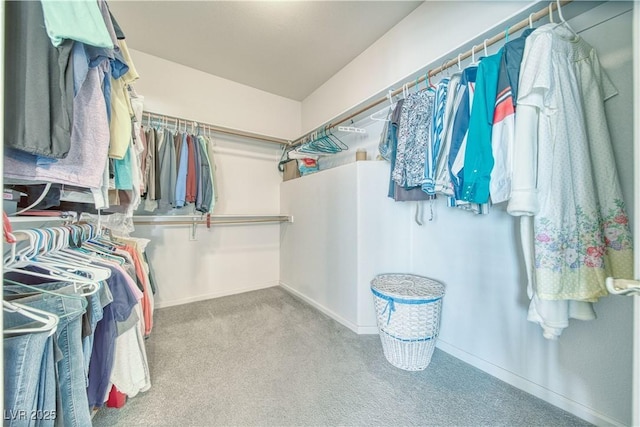 walk in closet with carpet flooring