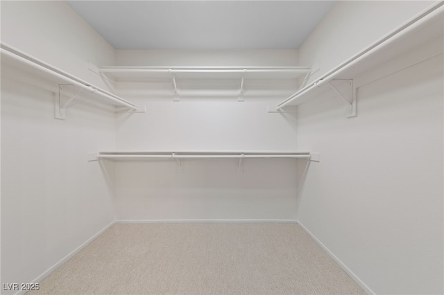 spacious closet featuring carpet floors