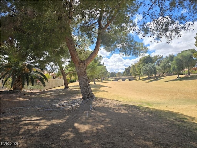 3117 Brightridge Dr, Las Vegas, NV 89134 - view of yard