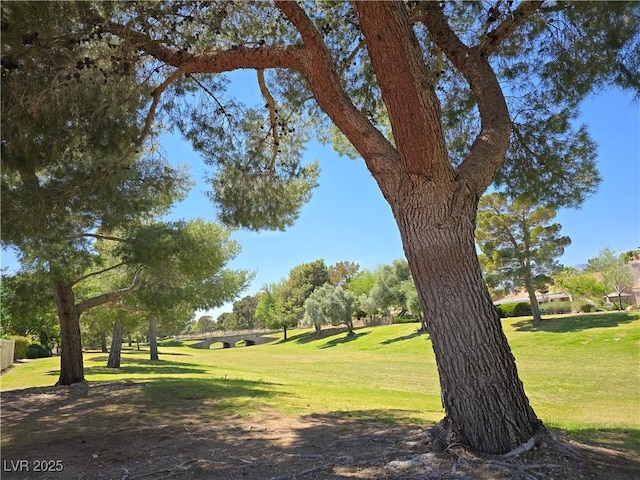 3117 Brightridge Dr, Las Vegas, NV 89134 - view of home's community featuring a yard
