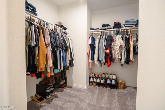 walk in closet featuring carpet floors