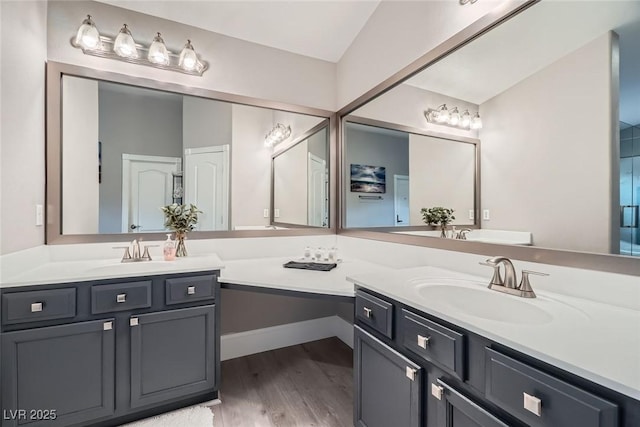 bathroom with wood finished floors and vanity