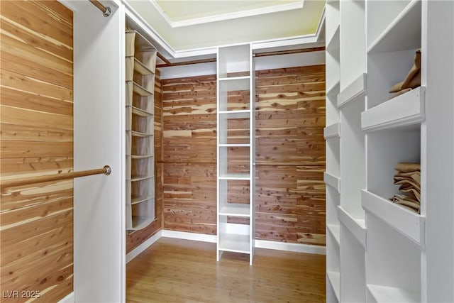 walk in closet featuring wood finished floors