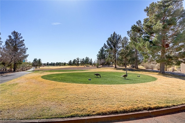 view of home's community with a lawn