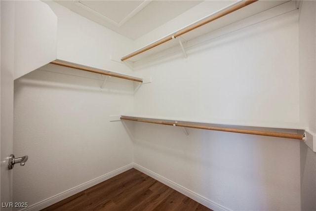 spacious closet with dark wood-style flooring