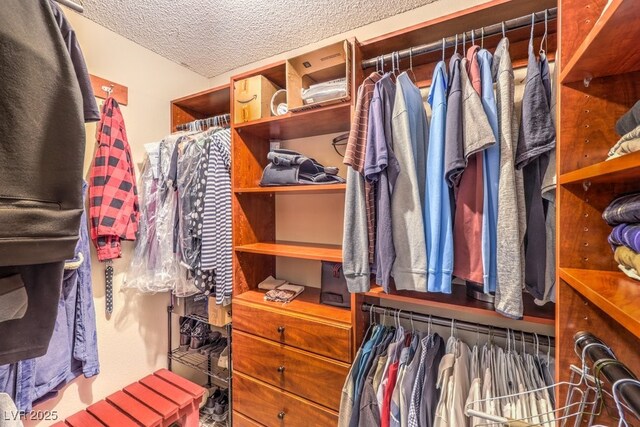 10615 Rancho Destino Rd, Las Vegas, NV 89183 - view of walk in closet