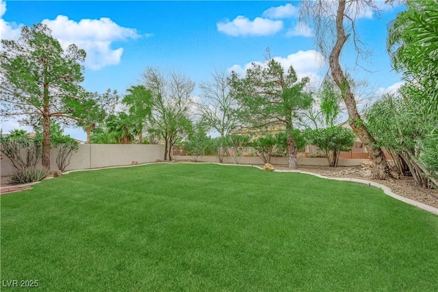 view of yard featuring a fenced backyard