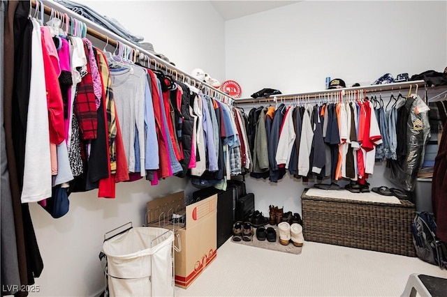 view of spacious closet