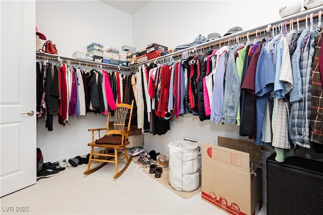 spacious closet with carpet flooring