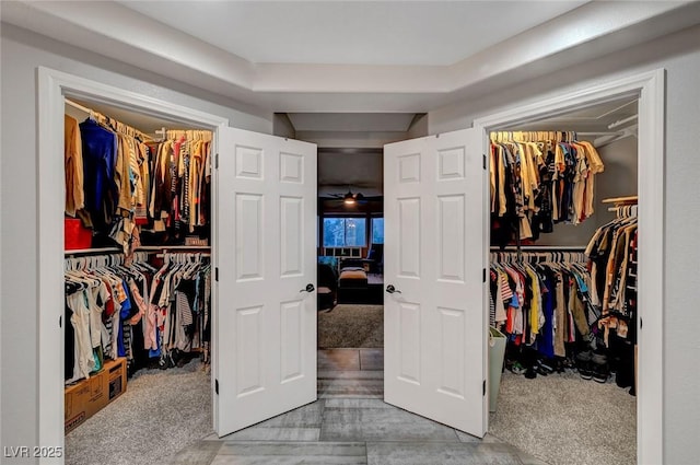 view of closet