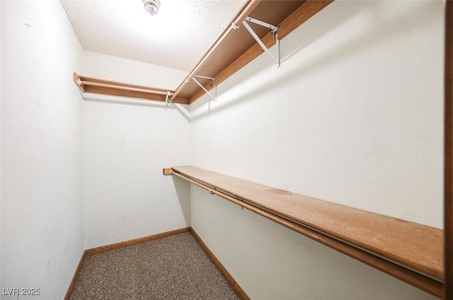 spacious closet with carpet floors