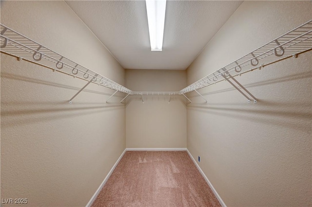 spacious closet with light carpet