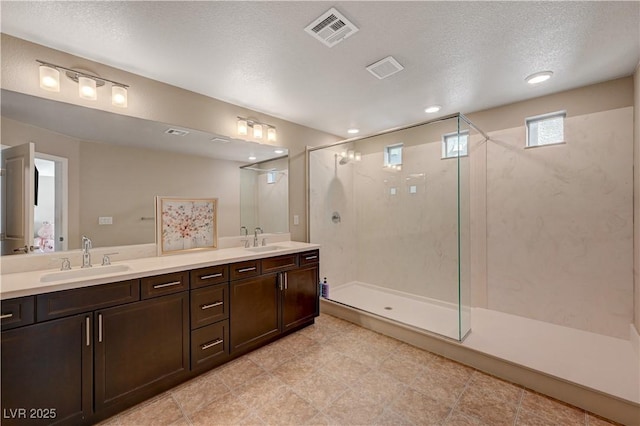 full bath featuring a sink, visible vents, double vanity, and a shower stall