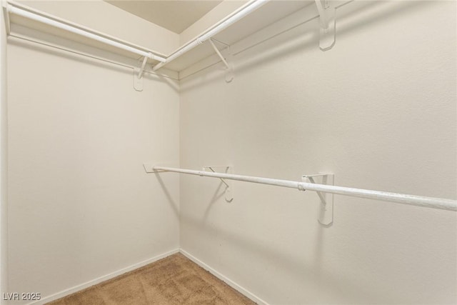 spacious closet with light colored carpet