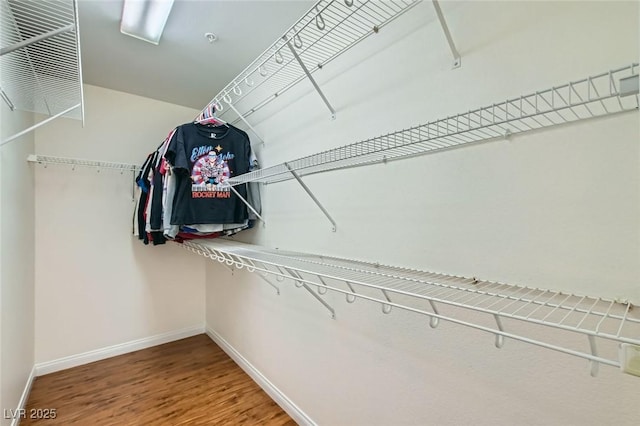 walk in closet featuring wood finished floors