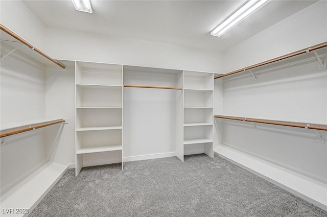 7900 Holly Knoll Ave, Las Vegas, NV 89129 - spacious closet featuring carpet floors