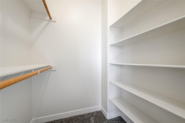 walk in closet with carpet floors