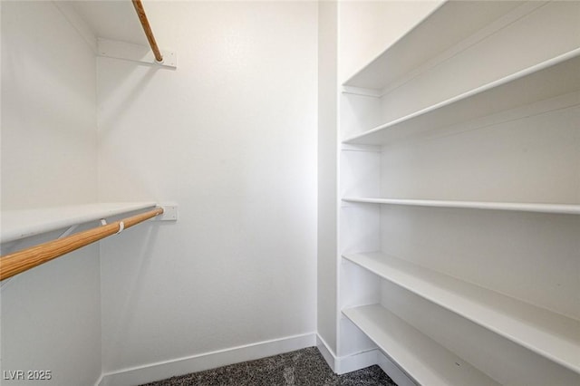 7900 Holly Knoll Ave, Las Vegas, NV 89129 - walk in closet with carpet floors