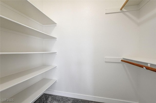 spacious closet with carpet