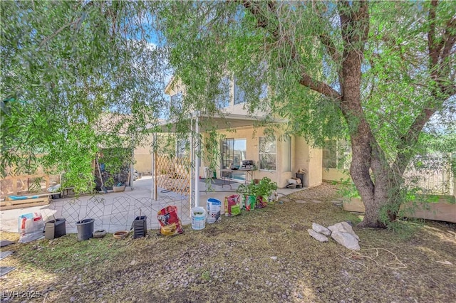 view of yard with a patio area