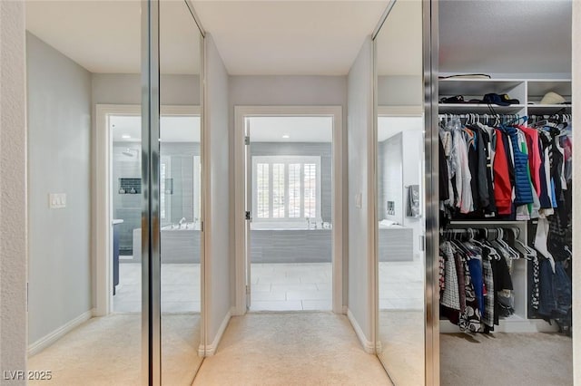 spacious closet featuring carpet