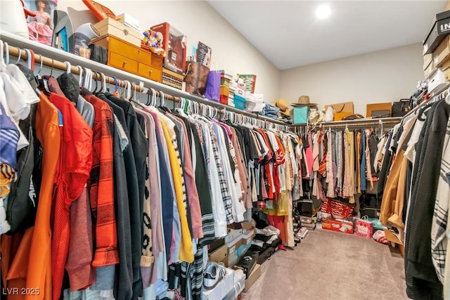 walk in closet with carpet flooring