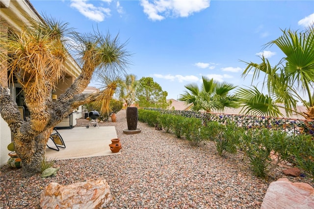 view of yard featuring a patio area