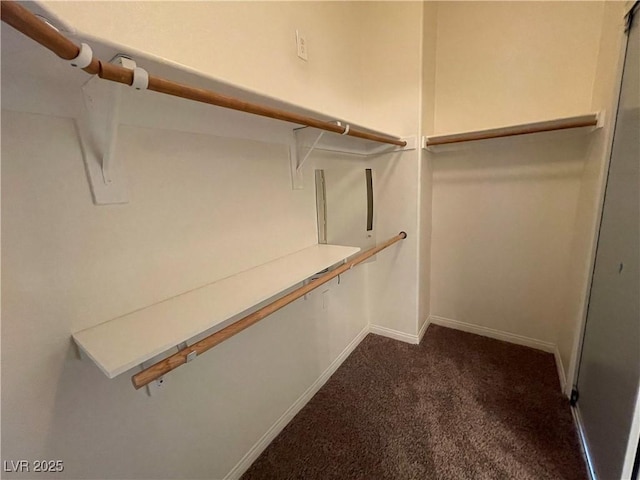 spacious closet featuring dark carpet