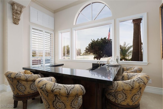 living area featuring baseboards, carpet floors, and crown molding