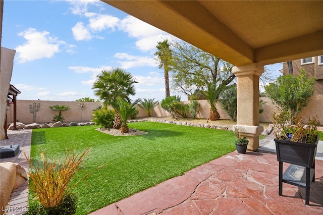 view of yard featuring a fenced backyard and a patio