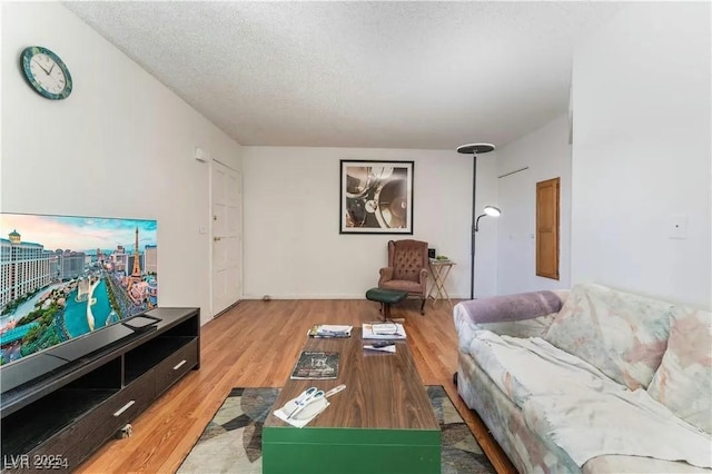 living room with a textured ceiling and light wood-style floors