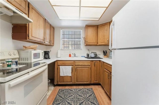 kitchen with under cabinet range hood, light countertops, light wood-style floors, white appliances, and a sink