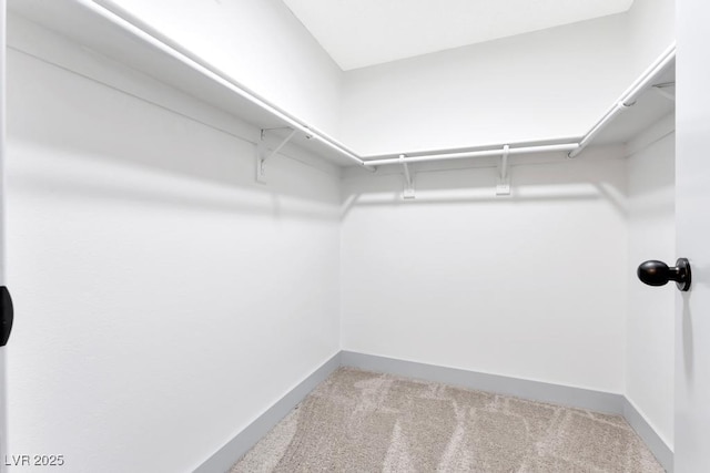 spacious closet with carpet flooring