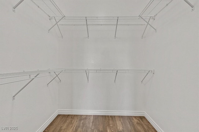 walk in closet featuring wood finished floors