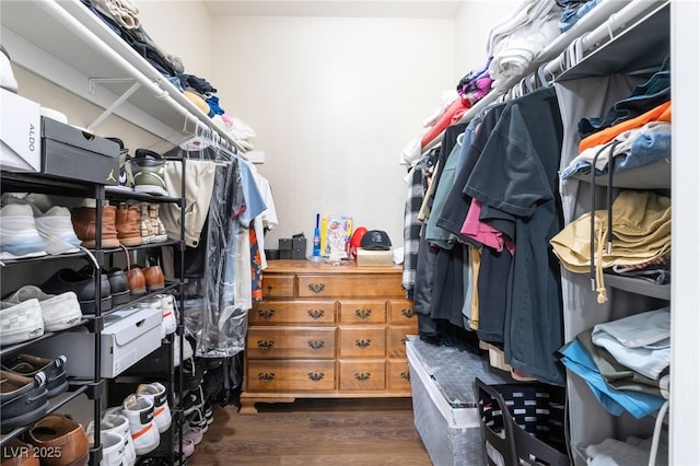 spacious closet with dark wood finished floors